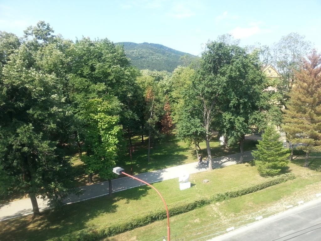 Park Srce Apartments Aranđelovac Zimmer foto